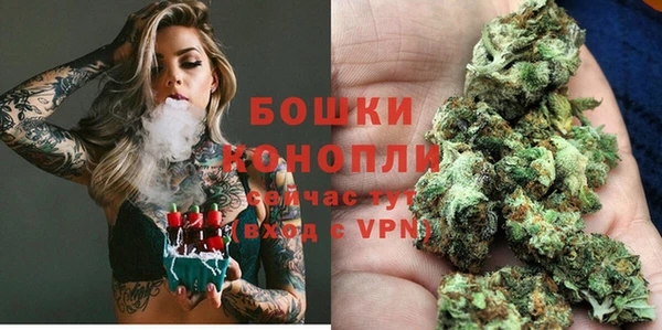 дмт Белокуриха