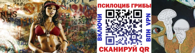 Купить где  Мамоново  Галлюциногенные грибы Psilocybine cubensis 